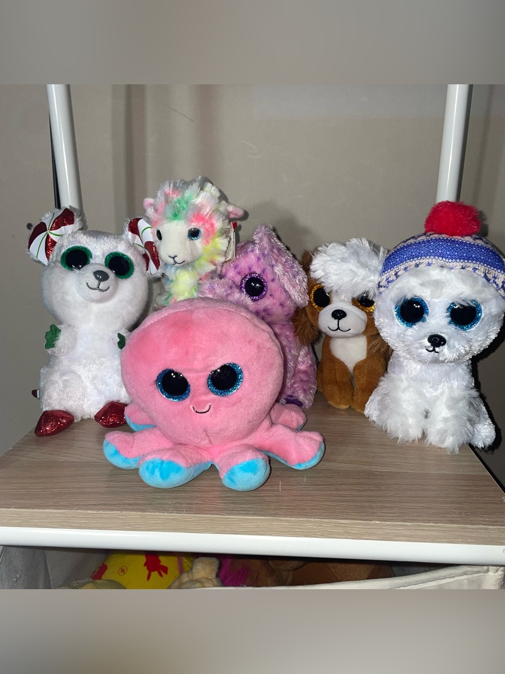 Ty beanie boo bundle